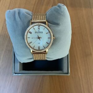 Skagen Rose Gold Women's Watch with mother of pearl Dial